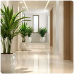 سيراميك وبورسلين